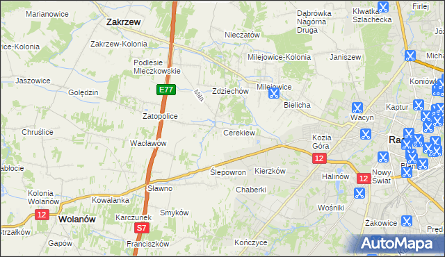 mapa Cerekiew gmina Zakrzew, Cerekiew gmina Zakrzew na mapie Targeo