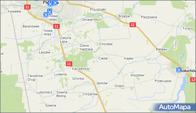 mapa Cieśle gmina Gołuchów, Cieśle gmina Gołuchów na mapie Targeo