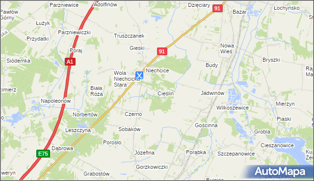 mapa Cieślin gmina Rozprza, Cieślin gmina Rozprza na mapie Targeo