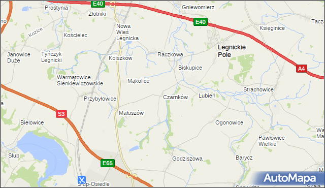 mapa Czarnków gmina Legnickie Pole, Czarnków gmina Legnickie Pole na mapie Targeo