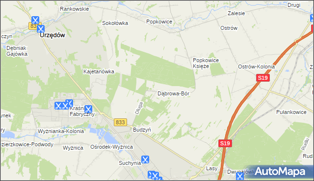 mapa Dąbrowa-Bór, Dąbrowa-Bór na mapie Targeo