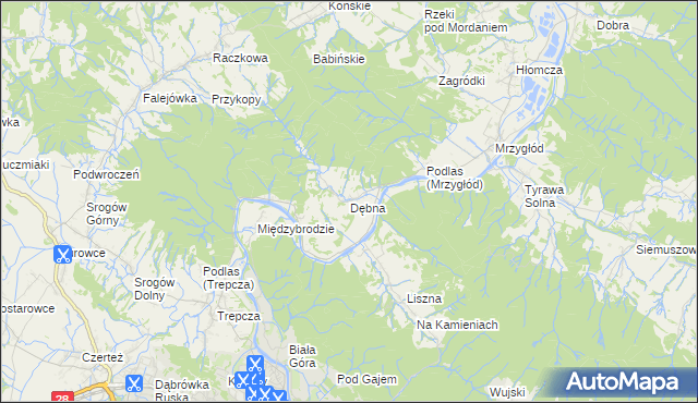 mapa Dębna gmina Sanok, Dębna gmina Sanok na mapie Targeo