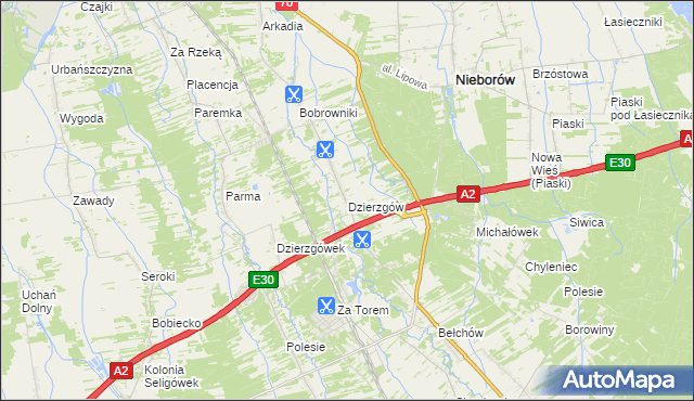 mapa Dzierzgów gmina Nieborów, Dzierzgów gmina Nieborów na mapie Targeo