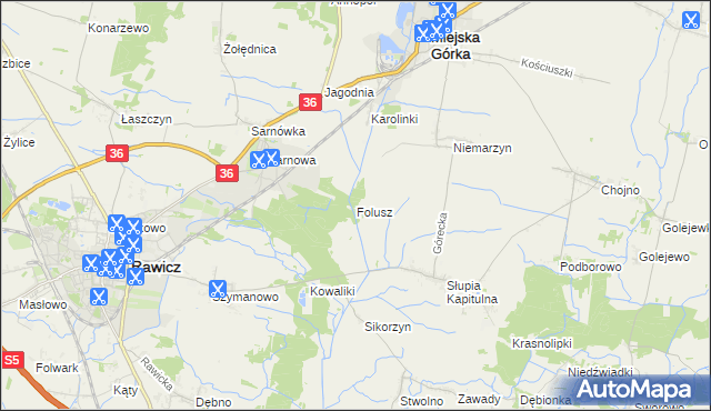 mapa Folusz gmina Rawicz, Folusz gmina Rawicz na mapie Targeo