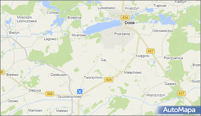 mapa Gaj gmina Gostyń, Gaj gmina Gostyń na mapie Targeo