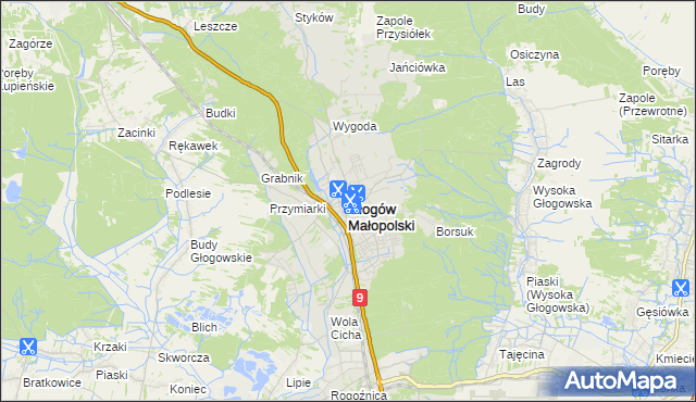 mapa Głogów Małopolski, Głogów Małopolski na mapie Targeo