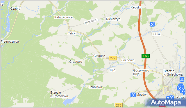 mapa Głogusz, Głogusz na mapie Targeo