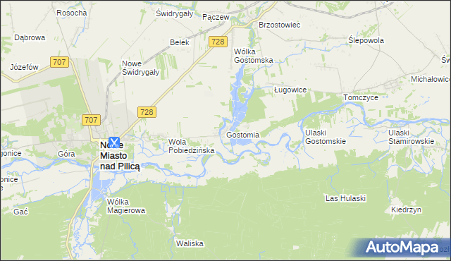 mapa Gostomia gmina Nowe Miasto nad Pilicą, Gostomia gmina Nowe Miasto nad Pilicą na mapie Targeo
