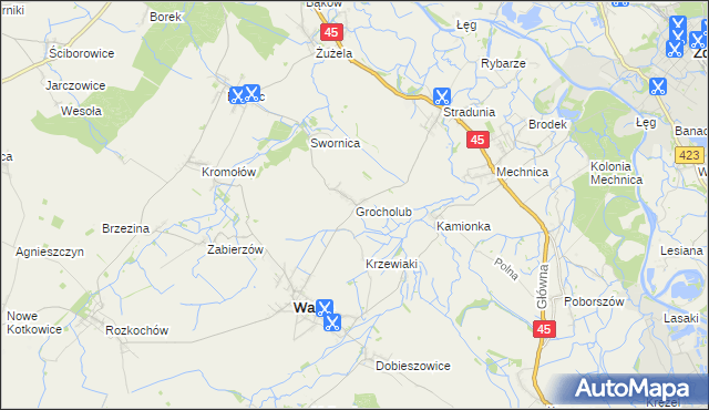 mapa Grocholub, Grocholub na mapie Targeo