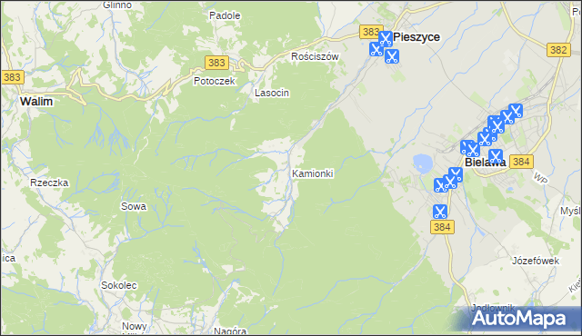 mapa Kamionki gmina Pieszyce, Kamionki gmina Pieszyce na mapie Targeo