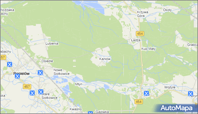mapa Kaniów gmina Popielów, Kaniów gmina Popielów na mapie Targeo