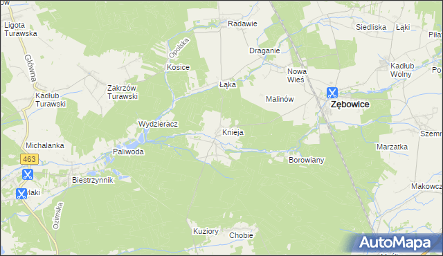 mapa Knieja gmina Zębowice, Knieja gmina Zębowice na mapie Targeo
