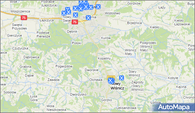 mapa Kopaliny gmina Nowy Wiśnicz, Kopaliny gmina Nowy Wiśnicz na mapie Targeo