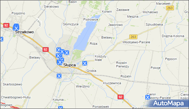 mapa Koszuty Małe, Koszuty Małe na mapie Targeo