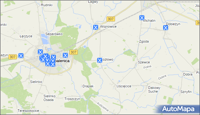 mapa Kozłowo gmina Opalenica, Kozłowo gmina Opalenica na mapie Targeo