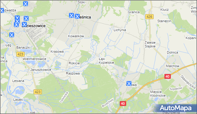 mapa Łąki Kozielskie, Łąki Kozielskie na mapie Targeo