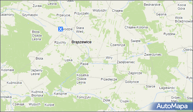 mapa Lisy gmina Brąszewice, Lisy gmina Brąszewice na mapie Targeo