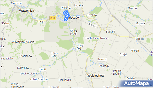 mapa Nowy Gaj gmina Wojciechów, Nowy Gaj gmina Wojciechów na mapie Targeo