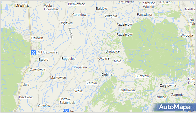mapa Okulice gmina Rzezawa, Okulice gmina Rzezawa na mapie Targeo