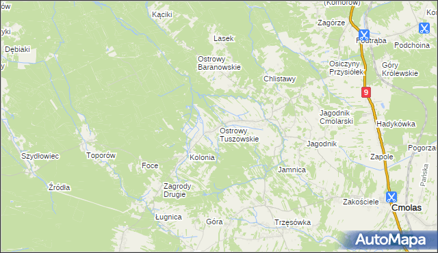 mapa Ostrowy Tuszowskie, Ostrowy Tuszowskie na mapie Targeo