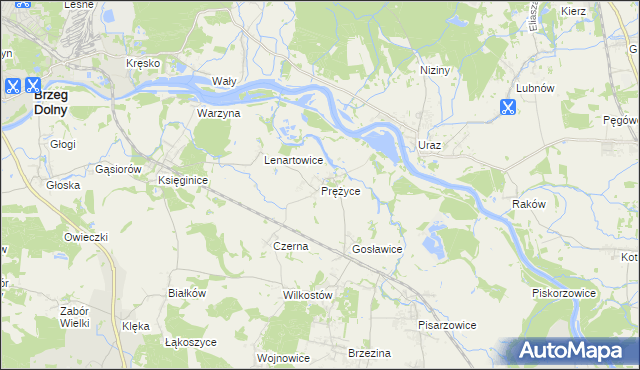 mapa Prężyce, Prężyce na mapie Targeo