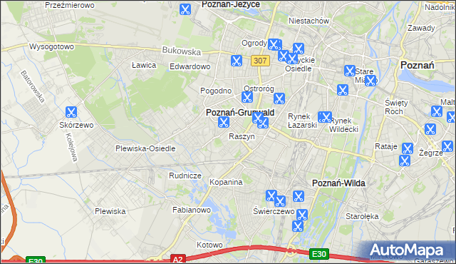 mapa Raszyn gmina Poznań, Raszyn gmina Poznań na mapie Targeo