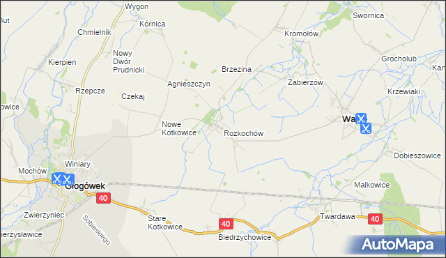 mapa Rozkochów gmina Walce, Rozkochów gmina Walce na mapie Targeo