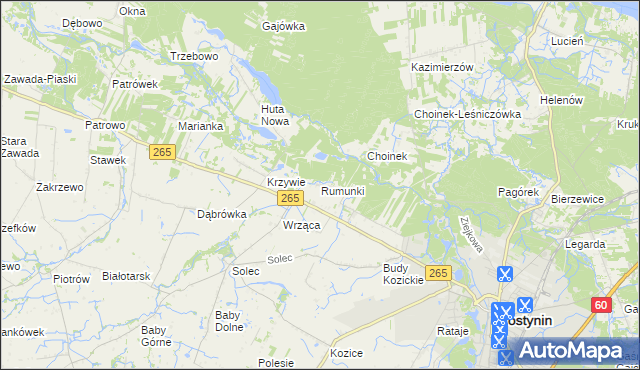 mapa Rumunki gmina Gostynin, Rumunki gmina Gostynin na mapie Targeo