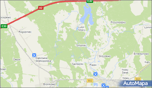 mapa Smolniki gmina Trzciel, Smolniki gmina Trzciel na mapie Targeo