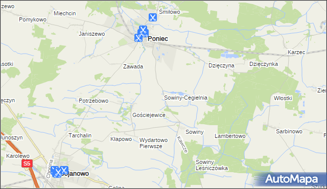 mapa Sowiny-Cegielnia, Sowiny-Cegielnia na mapie Targeo