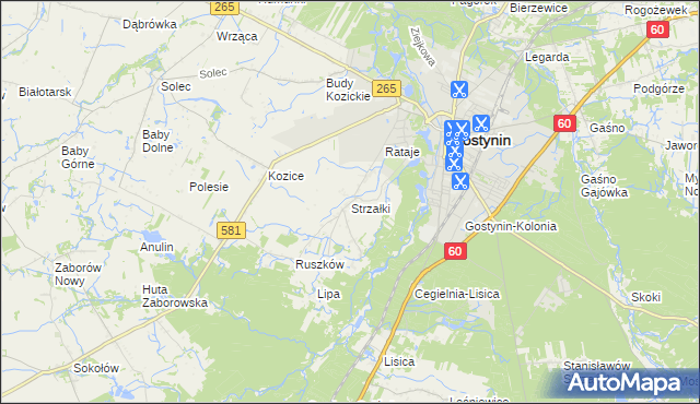 mapa Strzałki gmina Gostynin, Strzałki gmina Gostynin na mapie Targeo