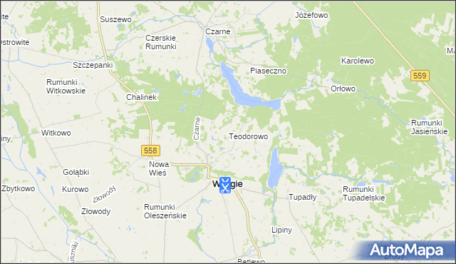 mapa Teodorowo gmina Wielgie, Teodorowo gmina Wielgie na mapie Targeo