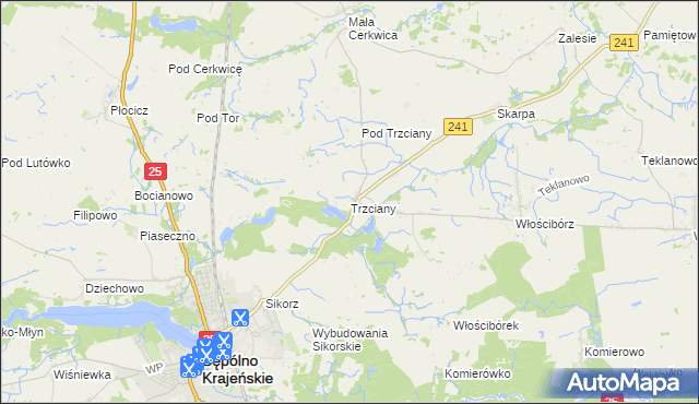 mapa Trzciany gmina Sępólno Krajeńskie, Trzciany gmina Sępólno Krajeńskie na mapie Targeo