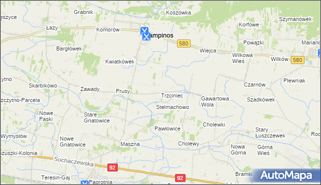 mapa Trzciniec gmina Leszno, Trzciniec gmina Leszno na mapie Targeo