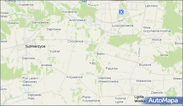 mapa Trzciniec gmina Sulmierzyce, Trzciniec gmina Sulmierzyce na mapie Targeo
