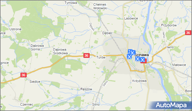 mapa Turów gmina Ścinawa, Turów gmina Ścinawa na mapie Targeo