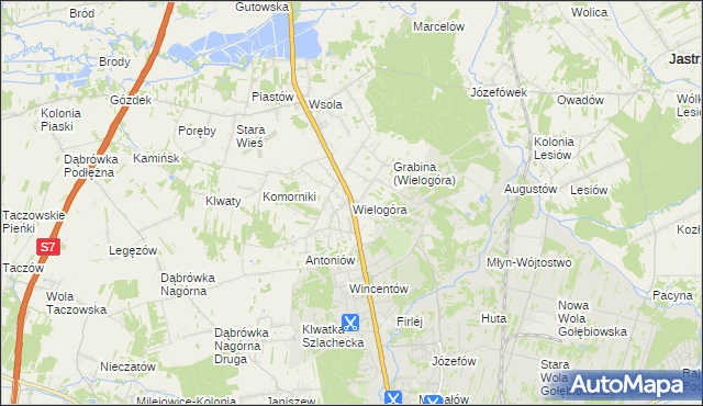 mapa Wielogóra gmina Jedlińsk, Wielogóra gmina Jedlińsk na mapie Targeo