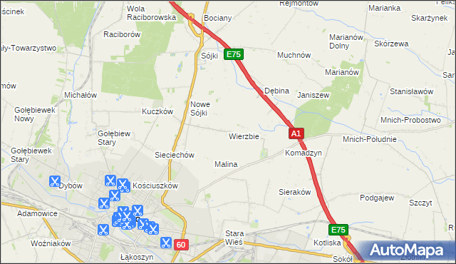 mapa Wierzbie gmina Kutno, Wierzbie gmina Kutno na mapie Targeo