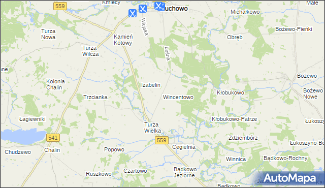 mapa Wincentowo gmina Brudzeń Duży, Wincentowo gmina Brudzeń Duży na mapie Targeo