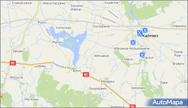 mapa Witkowice gmina Kaźmierz, Witkowice gmina Kaźmierz na mapie Targeo