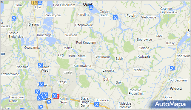 mapa Witkowice gmina Kęty, Witkowice gmina Kęty na mapie Targeo