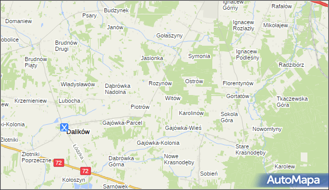 mapa Witów gmina Dalików, Witów gmina Dalików na mapie Targeo