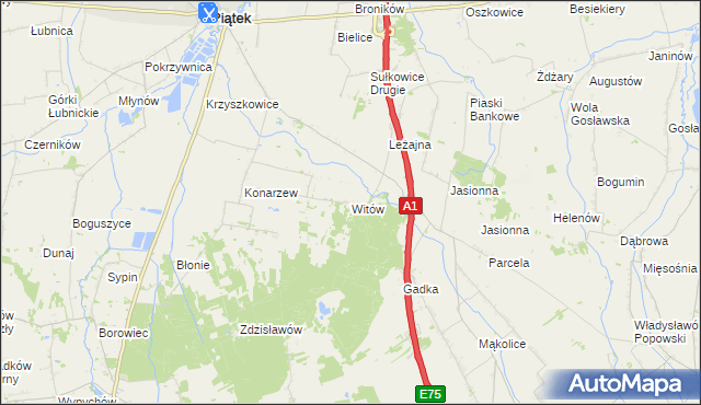 mapa Witów gmina Piątek, Witów gmina Piątek na mapie Targeo