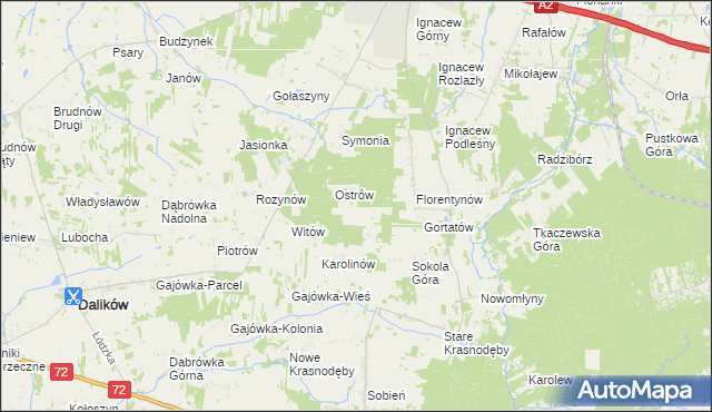 mapa Włodzimierzów gmina Dalików, Włodzimierzów gmina Dalików na mapie Targeo