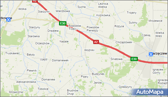 mapa Woźniki gmina Dalików, Woźniki gmina Dalików na mapie Targeo