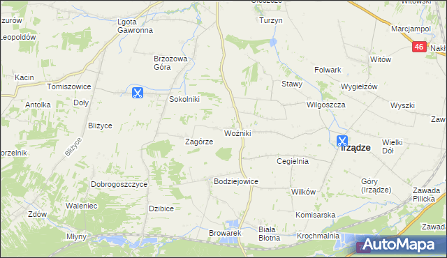 mapa Woźniki gmina Irządze, Woźniki gmina Irządze na mapie Targeo
