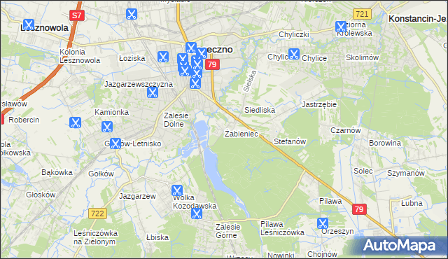 mapa Żabieniec gmina Piaseczno, Żabieniec gmina Piaseczno na mapie Targeo