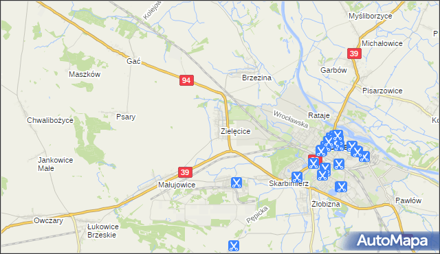 mapa Zielęcice gmina Skarbimierz, Zielęcice gmina Skarbimierz na mapie Targeo