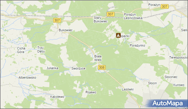 mapa Biała Wieś gmina Grodzisk Wielkopolski, Biała Wieś gmina Grodzisk Wielkopolski na mapie Targeo