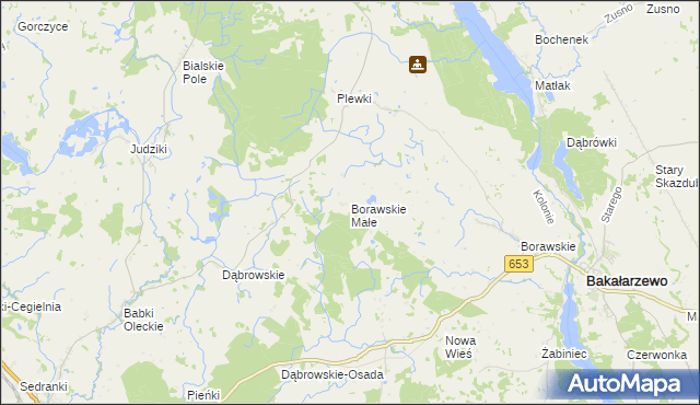 mapa Borawskie Małe, Borawskie Małe na mapie Targeo